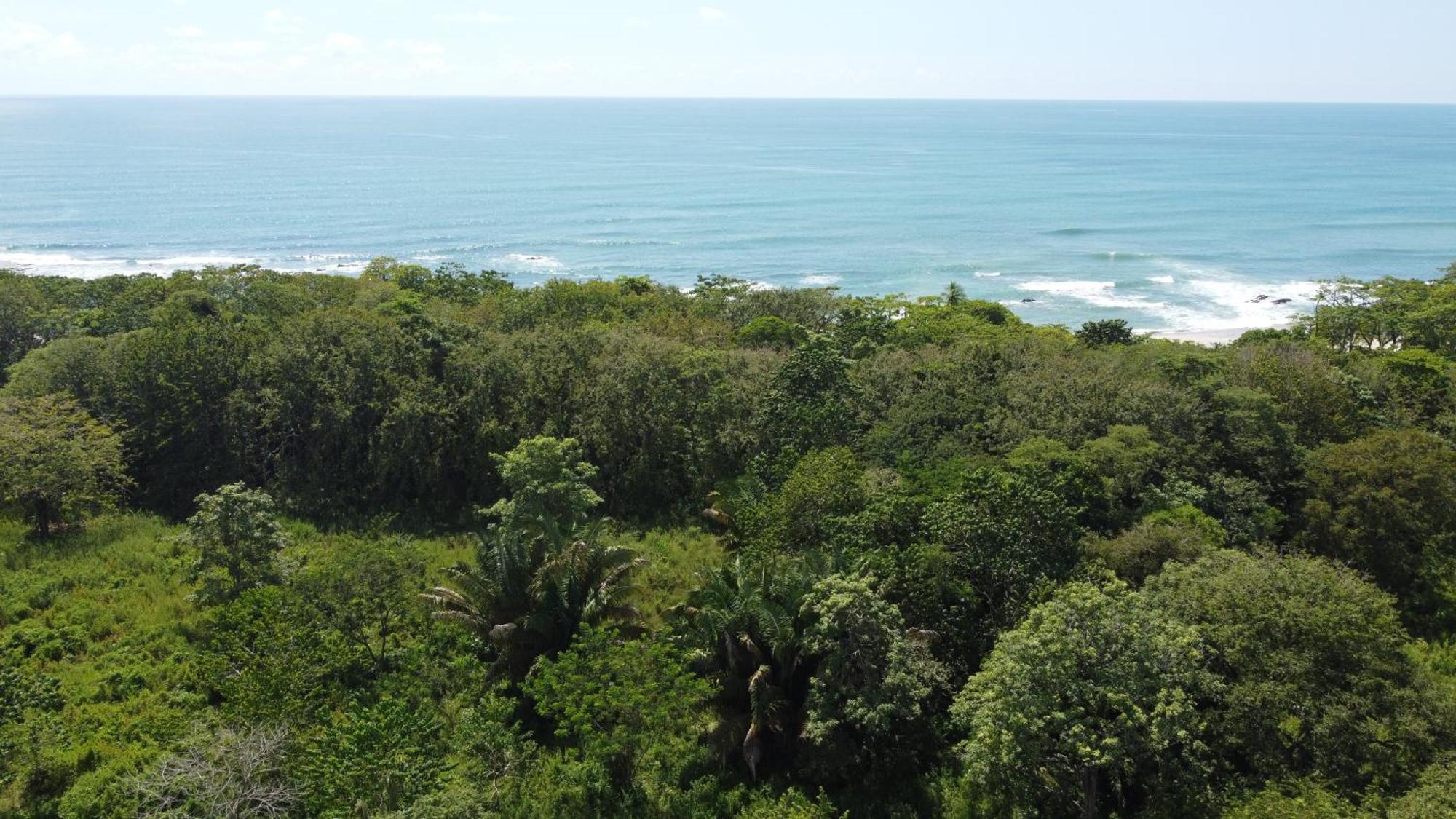 Calma Apartments Costa Rica Malpais Dış mekan fotoğraf
